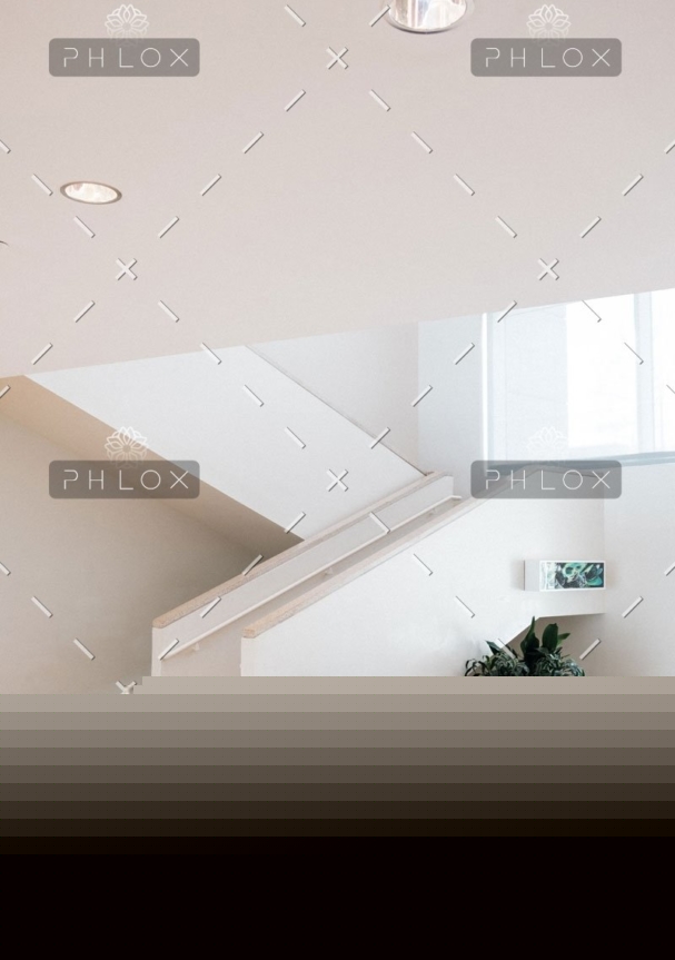 demo-attachment-555-Portfolio_image11